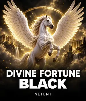 Divine Fortune Black
