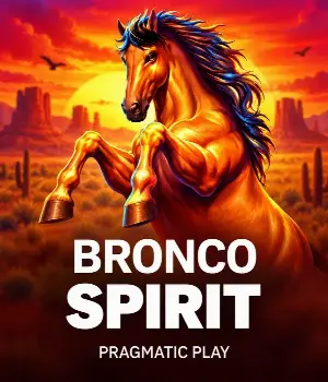 Bronco Spirit