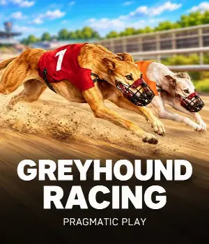Greyhound Racing