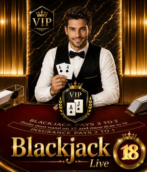 Blackjack VIP 18